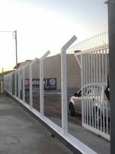 Portfólio